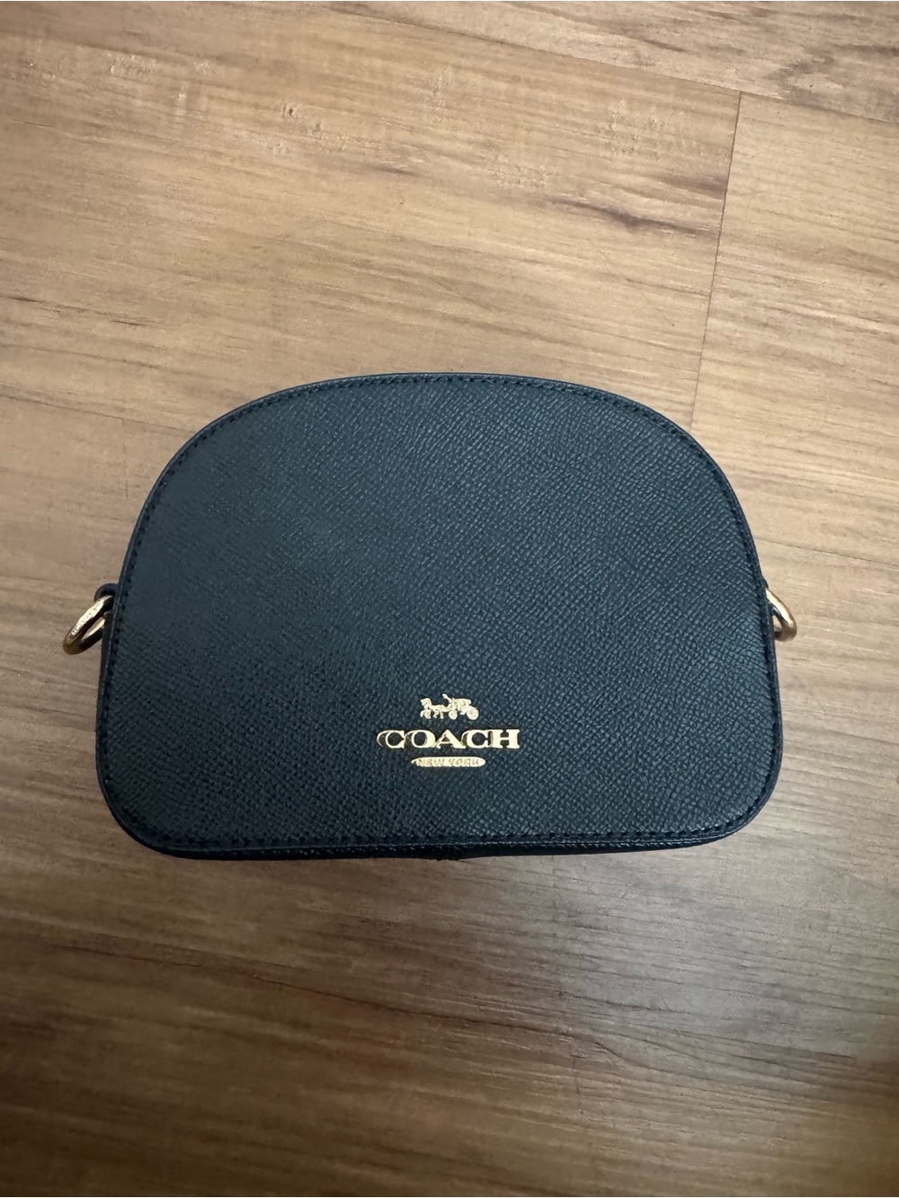 NWOT Coach Mini Serena Crossbody bag